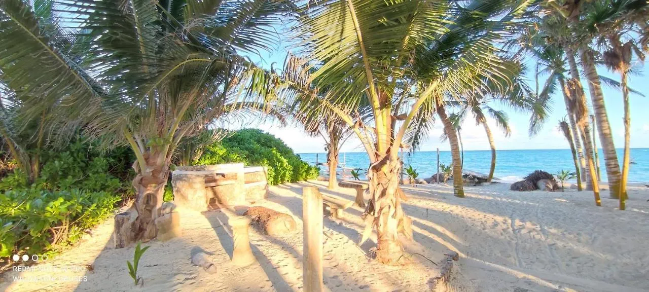 Ultima playa virgen en Cancún 0*, Isla Mujeres Meksika