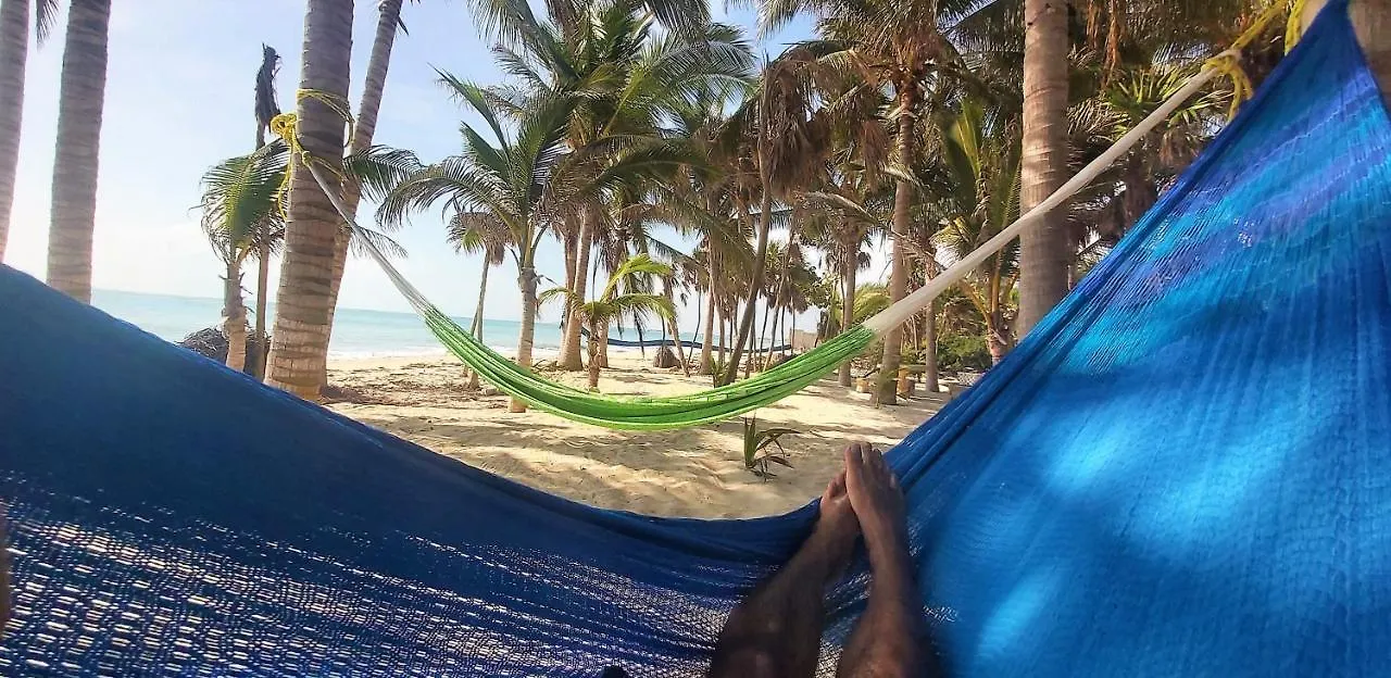 ヴィラ Ultima Playa Virgen En Cancun メキシコ